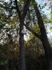 20201105_154716.jpg