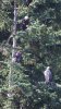 628831FC-8F4A-437D-B489-7125D2742426.jpeg