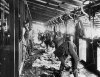 440px-StateLibQld_1_67991_Shearing_at_the_woolshed_at_Jimbour_Station,_ca._1895.jpg