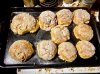 IMG_3005.jpeg