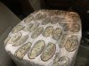IMG_4582.jpeg