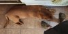 20240411_180709.jpeg