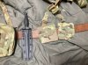 IMG_8728.jpeg