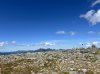 IMG_1582.jpeg