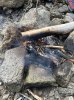 IMG_1371.jpeg