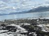 IMG_1660.jpeg