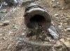 IMG_1318.jpeg