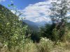 IMG_1455.jpeg