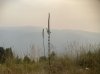 IMG_1788.jpeg