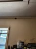 20240825_100953.jpeg