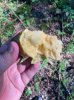 IMG_6969.jpeg