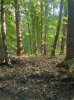 IMG_6965.jpeg