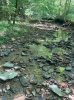 IMG_6948.jpeg