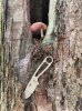 IMG_6944.jpeg