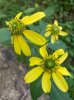 IMG_6959.jpeg