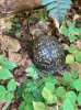 IMG_6958.jpeg