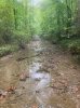 IMG_7039.jpeg