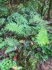 IMG_7038.jpeg