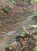 IMG_7018.jpeg