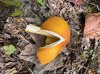 IMG_7600.jpeg