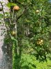 IMG_7108.jpeg