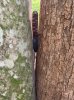 IMG_7118.jpeg