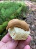 IMG_7114.jpeg
