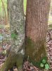 IMG_7117.jpeg