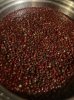 IMG_7075.jpeg