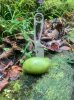 IMG_7193.jpeg