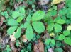 IMG_7192.jpeg