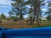 PXL_20240624_205242468.jpg