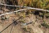 DSCN1675.JPG