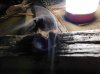 DSCN1692.JPG