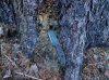 DSCN1716.JPG