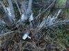 DSCN1731.JPG