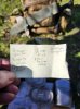 20250316_163706.jpeg