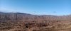 20250416_073959.jpg