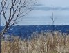 20250519_104311.jpg