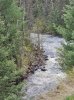 20250520_142625.jpg