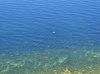 20250526_145417.jpg