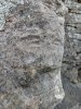 PXL_20250627_185518196.jpg