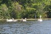 20250813_132037.jpg