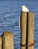 20250820_195057.jpg