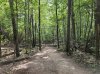 20250827_143553.jpg